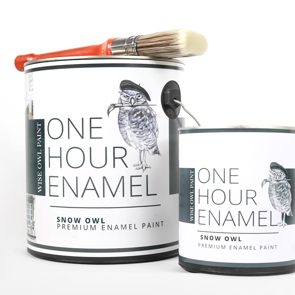 Wise Owl Paint One Hour Enamel Clear Coat. Matte, Satin, Semi-Gloss Clear high quality Topcoat